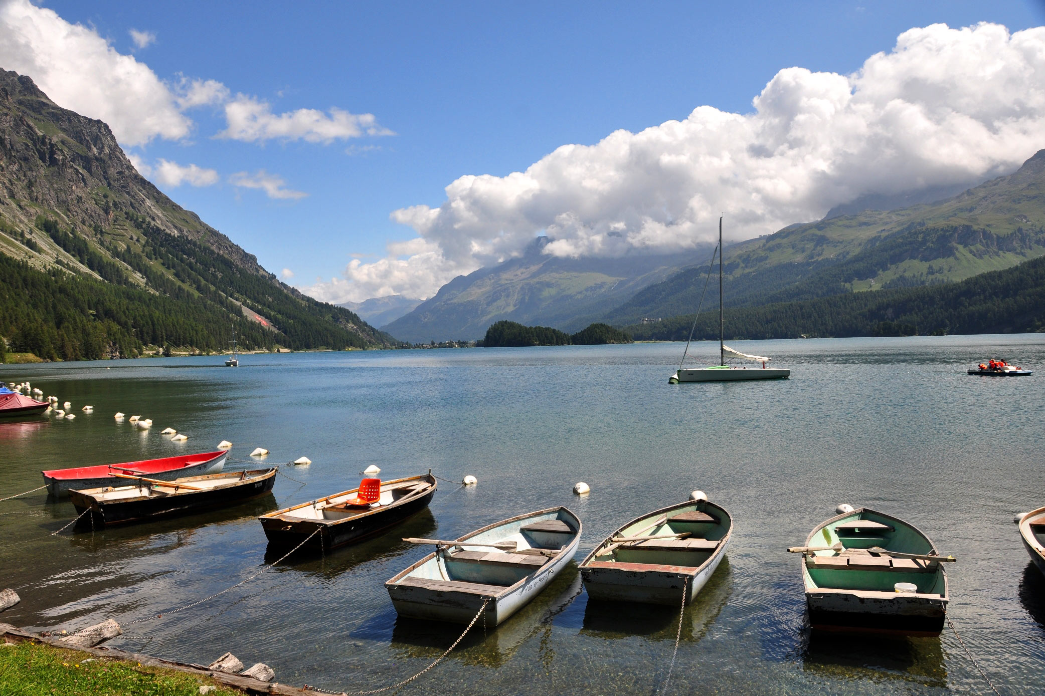 Sils